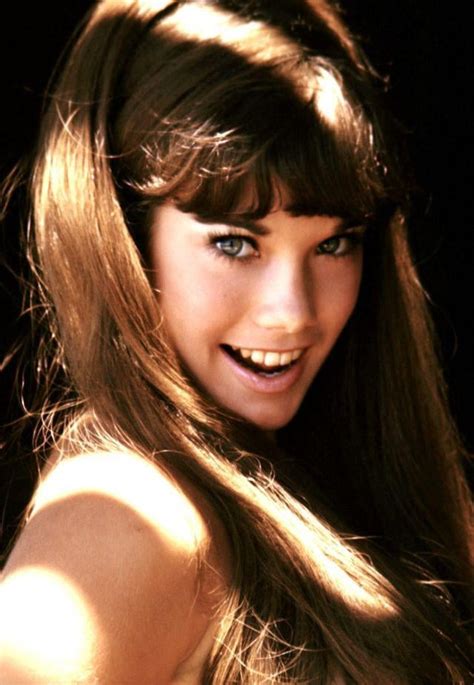 barbi benton playboy pictures|Photos: Photos: Vintage Playboy Bunnies!